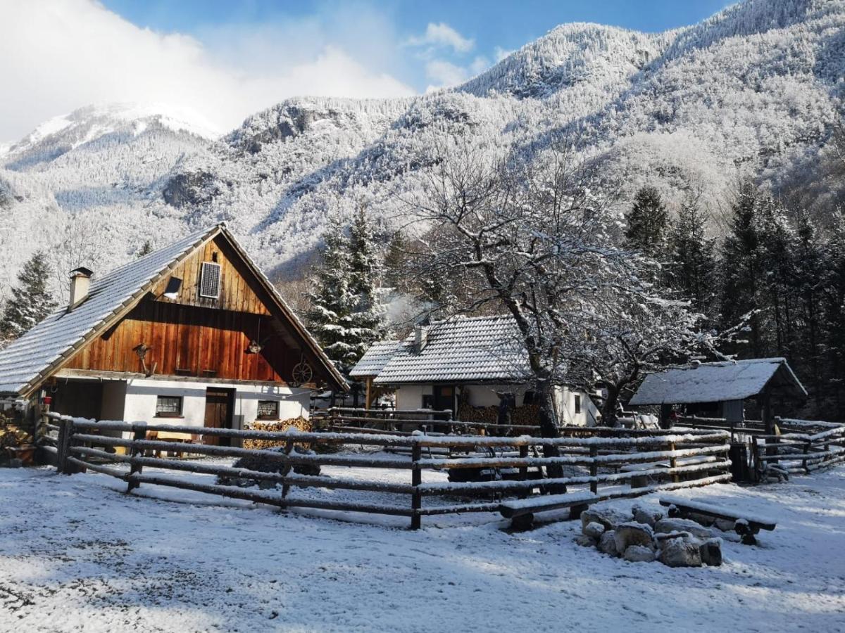 Lizina Hiska House Bohinj Vila Bohinjska Bistrica Exterior foto