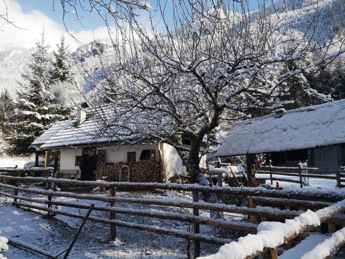 Lizina Hiska House Bohinj Vila Bohinjska Bistrica Exterior foto