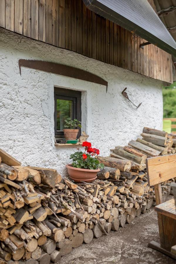 Lizina Hiska House Bohinj Vila Bohinjska Bistrica Exterior foto