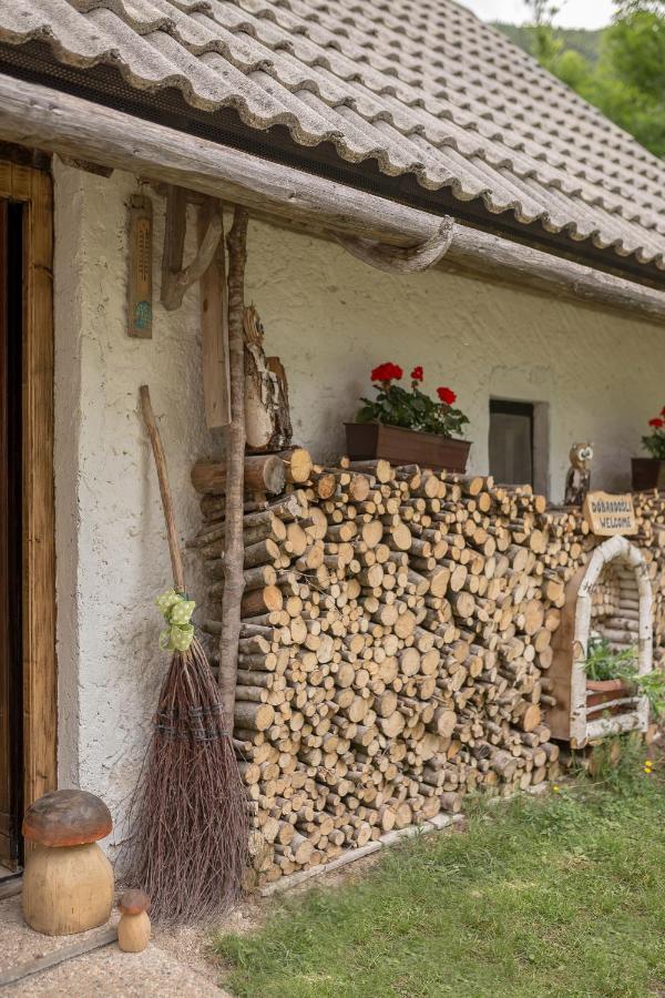 Lizina Hiska House Bohinj Vila Bohinjska Bistrica Exterior foto