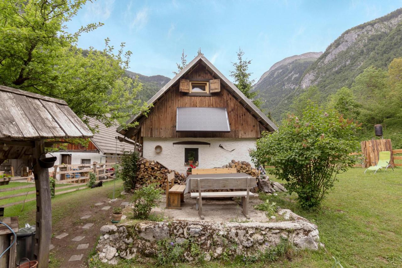 Lizina Hiska House Bohinj Vila Bohinjska Bistrica Exterior foto